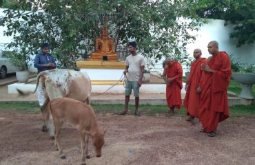 Donations for Siri Gauthama Sandaham Aramaya, Abhayadana Project